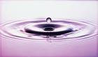 purpledrop.jpg